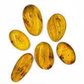 Free Shape Lemon Color Cabochon With Insects